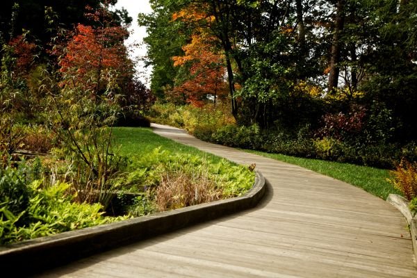 Landscape Design